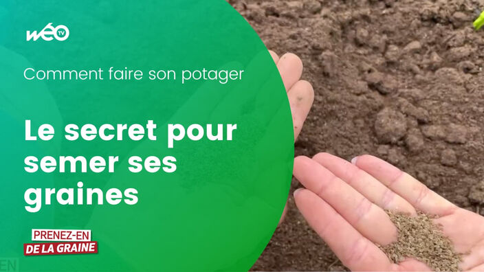 Comment semer efficacement son potager