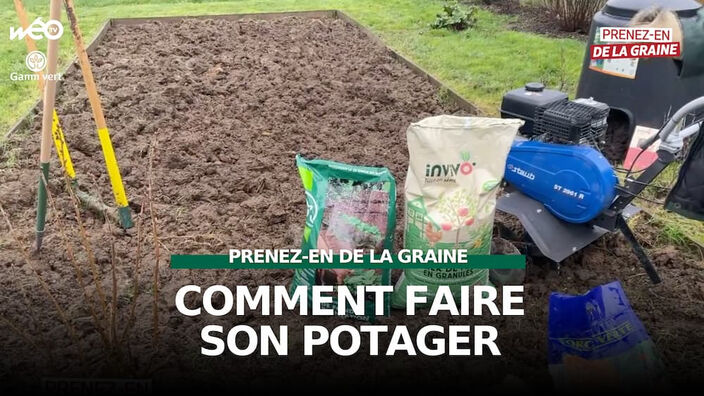 Prenez-en de la graine : C'est le printemps, retour au potager !