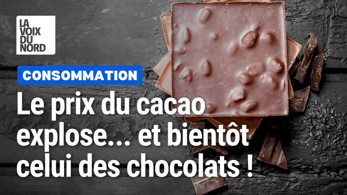 Le prix du cacao explose, et bientôt celui des chocolats aussi !