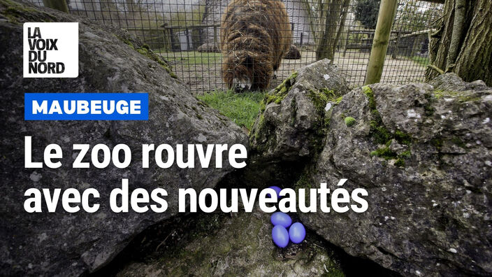 Le zoo de Maubeuge rouvre ses portes avec des nouveautés 