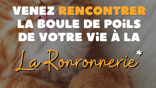 OUVERTURE DE LA RONRONNERIE LPA-NF 