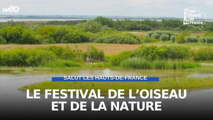 Abbeville : le festival de l'Oiseau et de la Nature