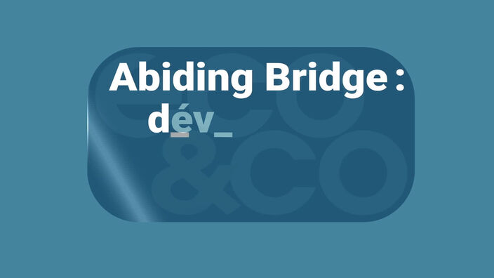 Abiding Bridge : développer les jeux vidéos autrement