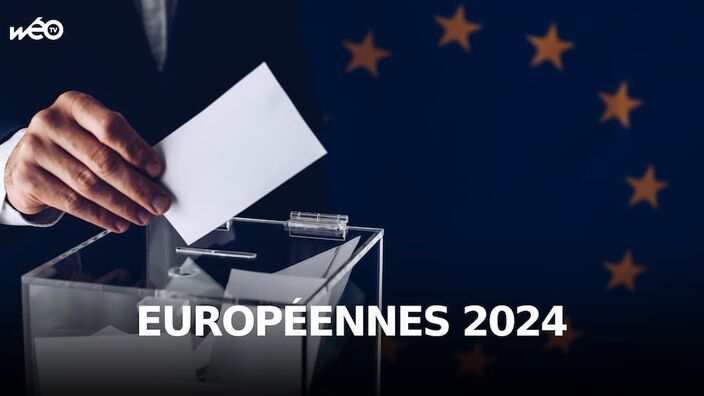 Dates, candidats, fonctionnement... : tout savoir des élections européennes 2024