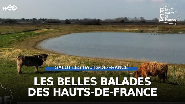 Les belles balades de notre région