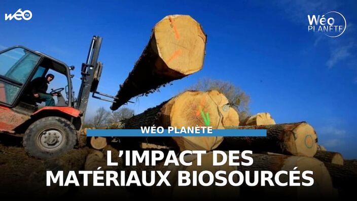 Quels matériaux écologiques utiliser pour rénover votre maison ?