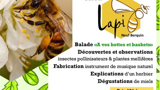 Rendez vous Biodiversité