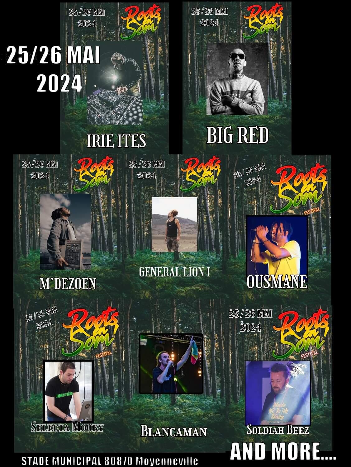 La programmation du Roots en Som' Festival