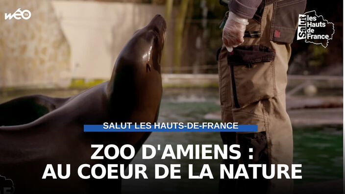 Zoo d'Amiens Métropole : au coeur de la nature