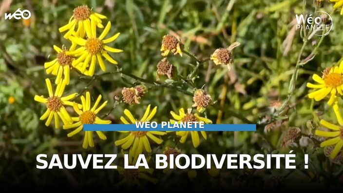 Comment agir pour la biodiversité ?