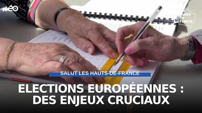 Elections européennes : des enjeux cruciaux
