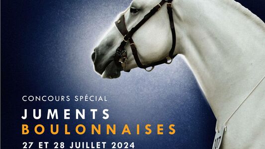 111e concours national du cheval boulonnais