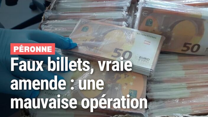 Un Picard a acheté 800 000€ de faux billets pour faire des vues sur TikTok