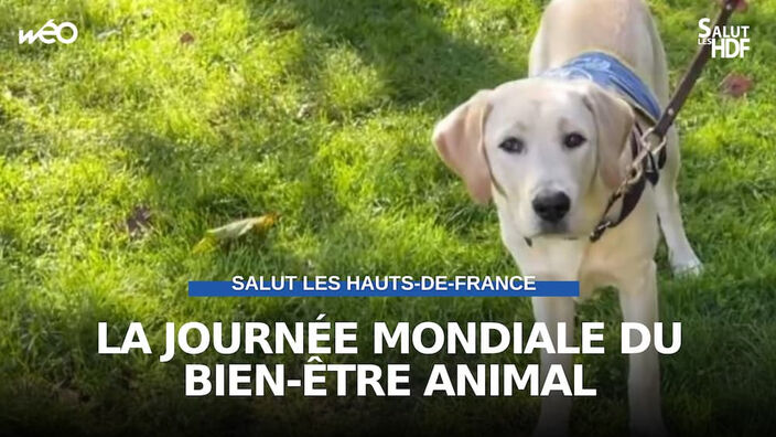 Le bien-être animal au programme du musée de plein air