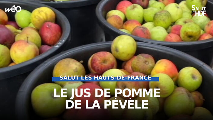Le jus de pomme de la Pévèle