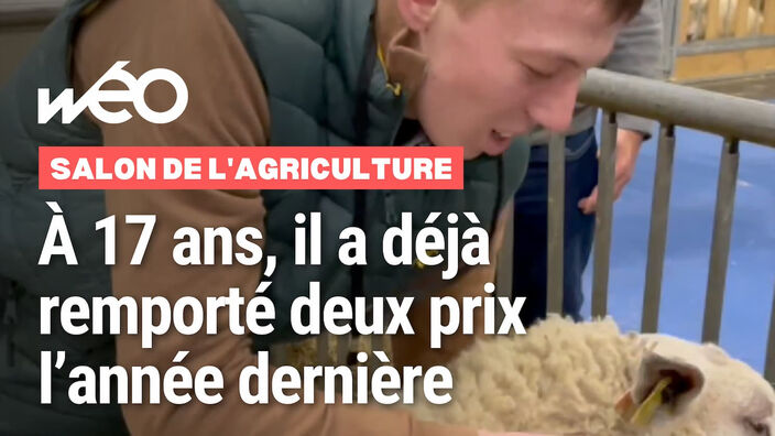 Ce jeune de 17 ans originaire de l'Avesnois concourt au Salon de l'Agriculture avec son mouton