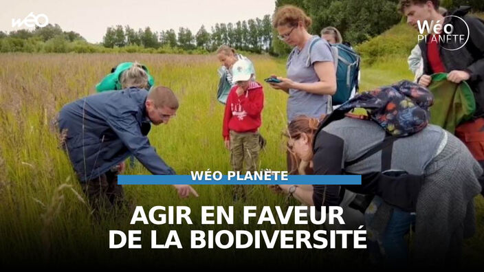 Ils agissent en faveur de la biodiversité