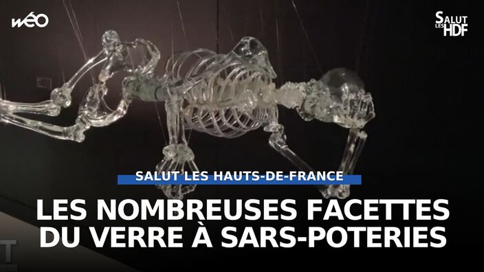 MusVerre à Sars-Poteries (59) : l'art du verre explore les profondeurs du corps humain avec l'exposition "Accord"