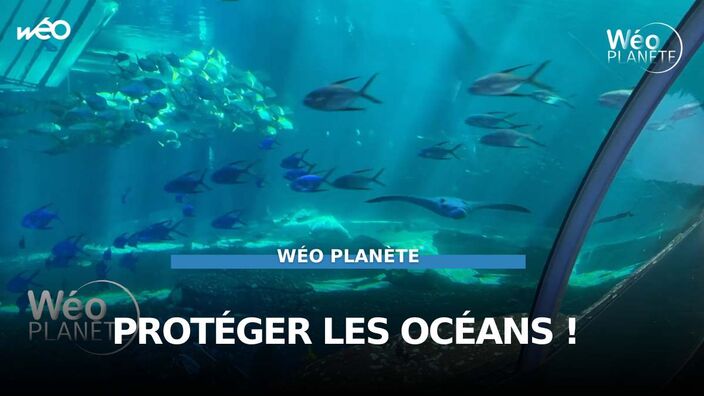 Protéger les océans !