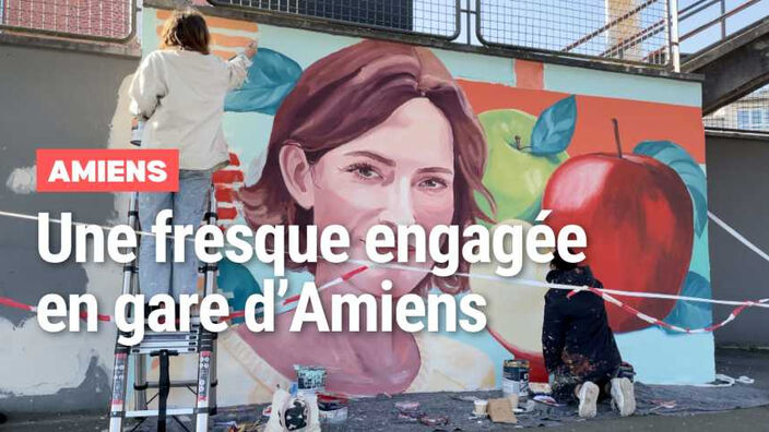 Amiens : une fresque met à l'honneur une chercheuse du CNRS