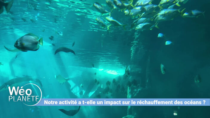 Les gestes à adopter pour préserver les océans