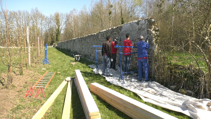 Oise : un chantier d'insertion au Domaine de Chaalis