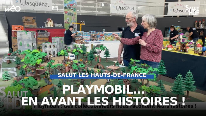 Playmobil : des collectionneurs nous racontent leurs histoires !