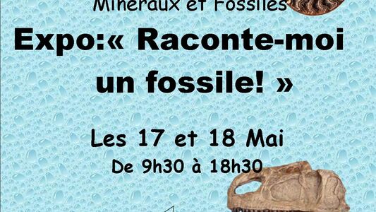 18e salon des minéraux et fossiles