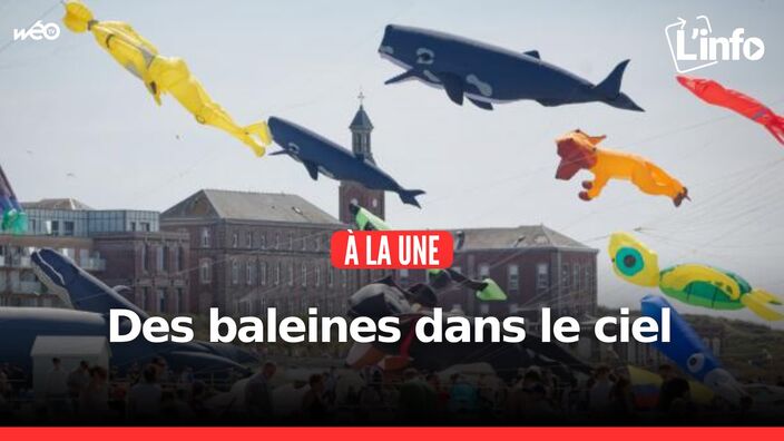 L'info des Hauts-de-France du jeudi 17 avril 2025