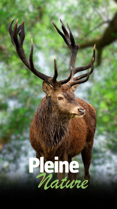 Pleine Nature