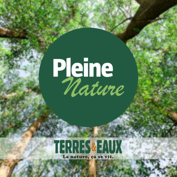 Pleine Nature