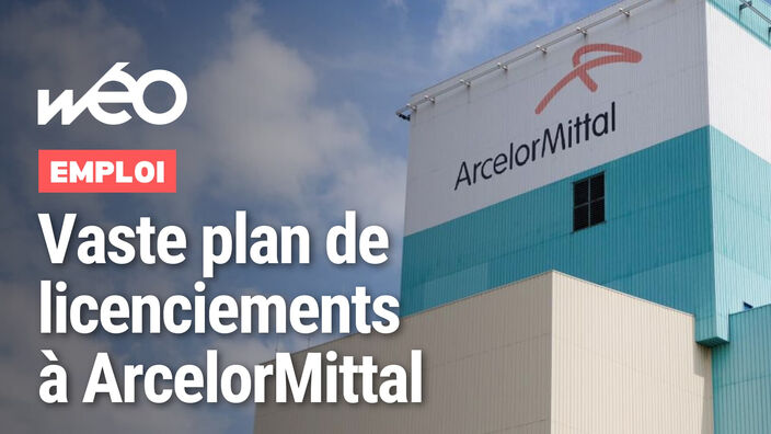 ArcelorMittal annonce la suppression de 650 postes en France