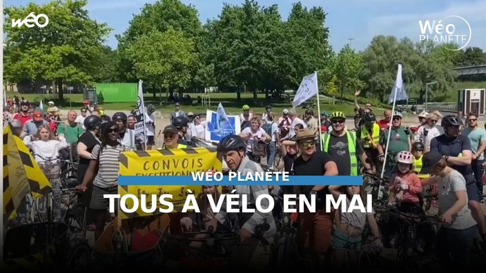 Tous à vélo en mai