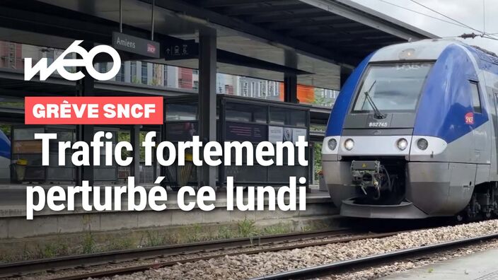 Grève à la SNCF : le trafic TER déjà touché