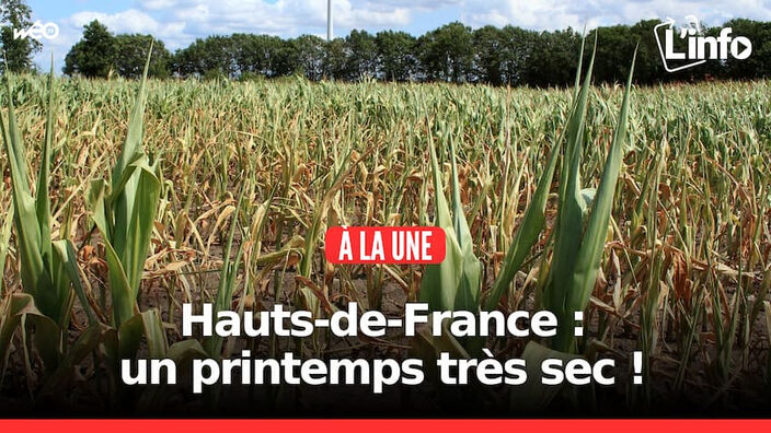 L'info des Hauts-de-France du lundi 12 mai 2025