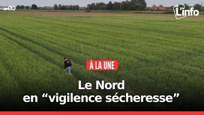 L'info des Hauts-de-France du mardi 20 mai 2025
