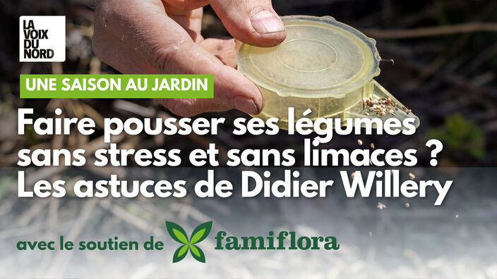 Voici comment faire un carré potager en évitant les limaces 