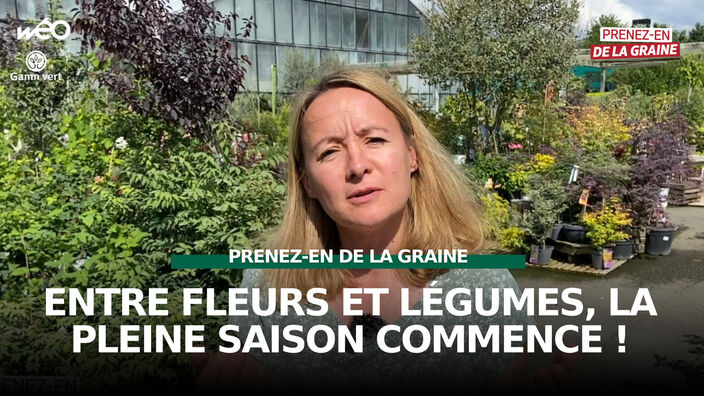 Prenez-en de la graine : entre fleurs et légumes, la pleine saison commence !