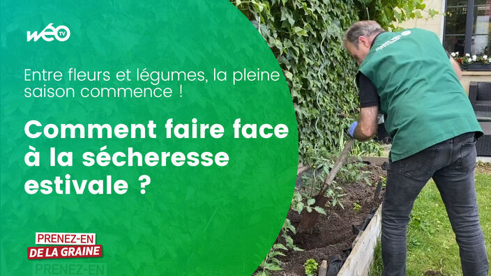 Comment faire face à la sécheresse estivale ?