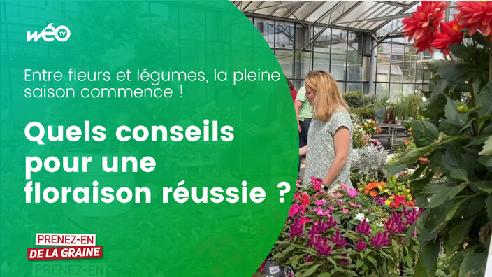 Quels conseils pour une floraison réussie de son jardin ?