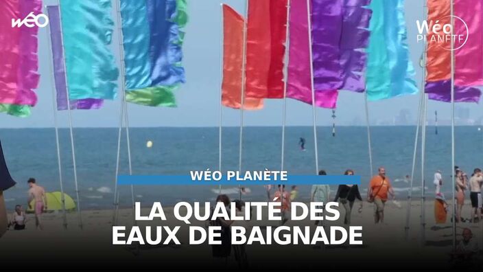 Wéo planète: La qualité des eaux de baignade 