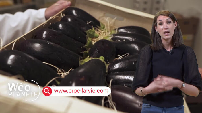 Une entreprise de restauration collective avec repas bio et locaux