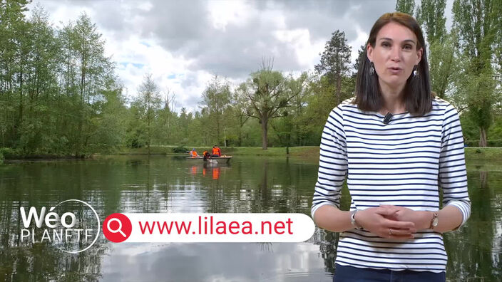 Comment prendre soin de nos cours d’eau ?