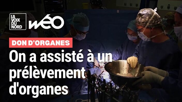 Don d'organes : on a suivi une opération de prélèvement d'organes