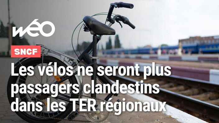 La réservation devient obligatoire pour les vélos à bord des TER régionaux
