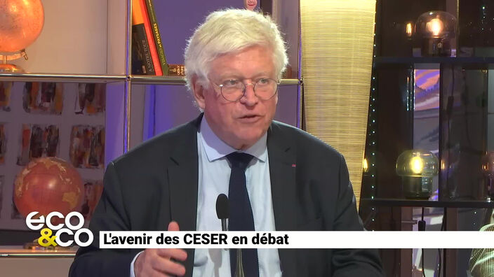 L'avenir des CESER en débat