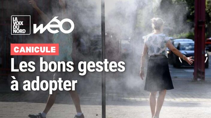 Canicule et vagues de chaleur : les bons gestes à adopter pour avoir moins chaud