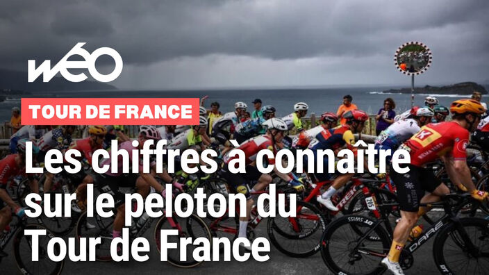 Qui est le plus jeune coureur, le plus âge, le plus titré... : les chiffres du peloton du Tour de France 2025