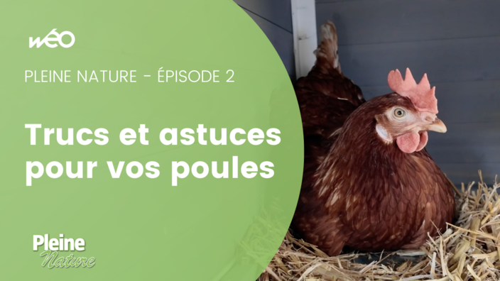 Pleine Nature - Trucs et astuces pour vos poules