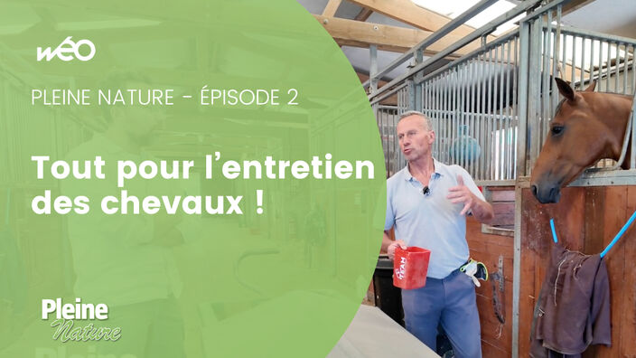 Pleine Nature - Tout pour vos chevaux !